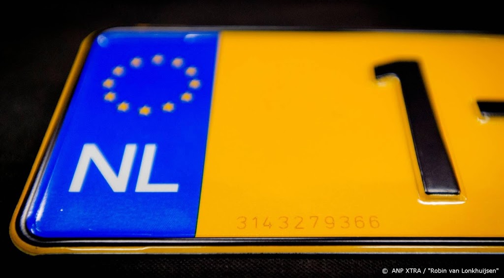 Minder grote daling aantal gestolen auto's