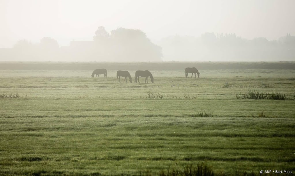 Code geel in westen, midden en noorden van het land om mist