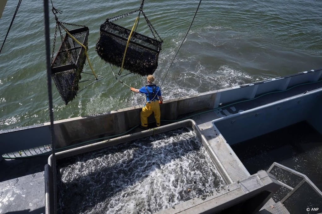 Groot deel visserij niet de zee op om hoge brandstofkosten