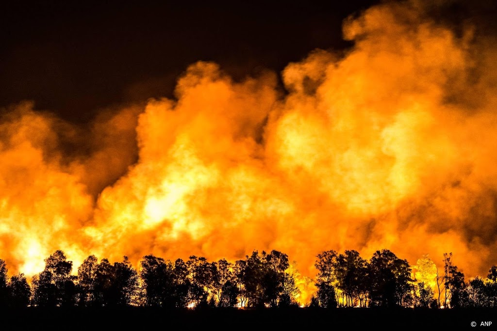 Deurnese Peel grotendeels verwoest door brand