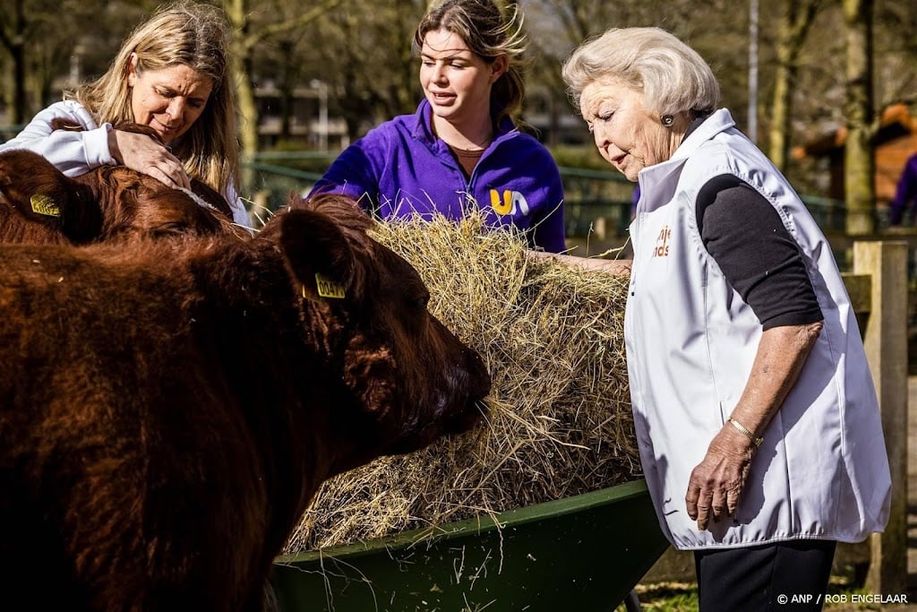 Vrijwilligerswerk terug op niveau van voor corona