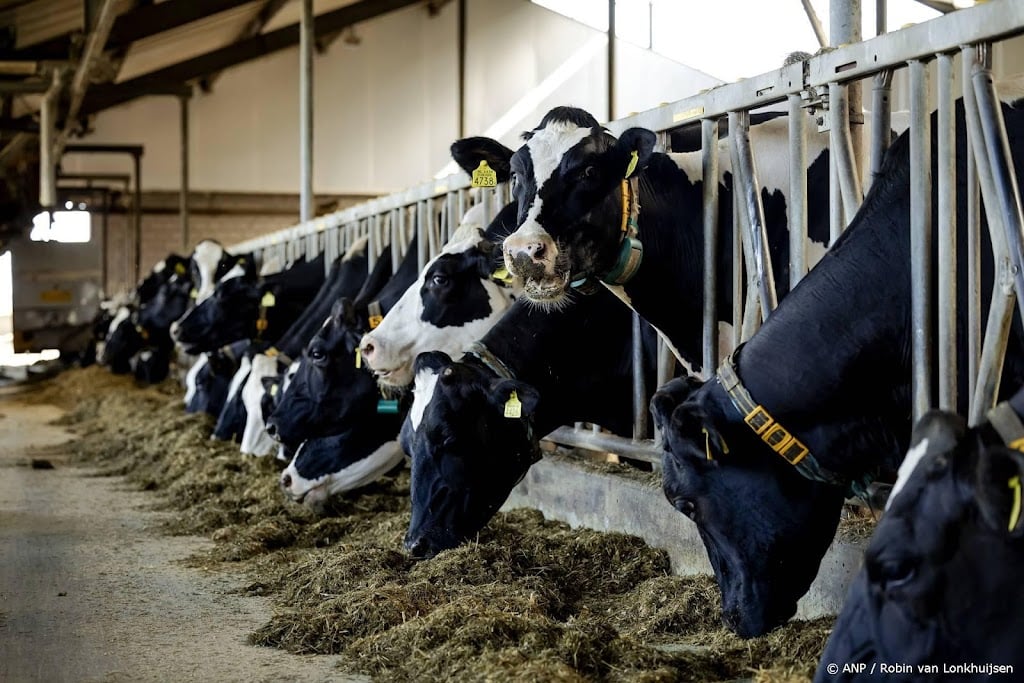 Stikstofuitstoot stallen 9 procent lager door stoppersregeling