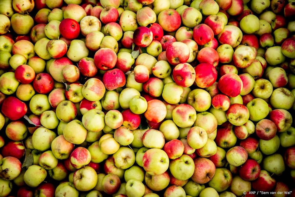 Kleinere appeloogst verwacht, evenveel peren
