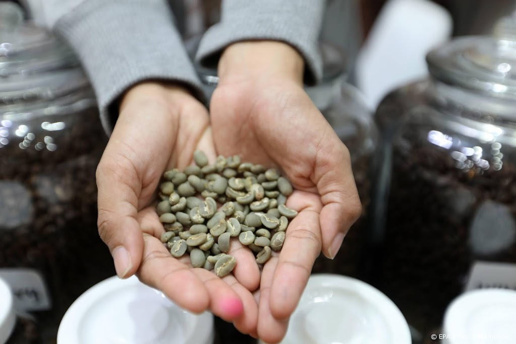 Hoogste koffieprijzen in zes jaar door vorst in Brazilië