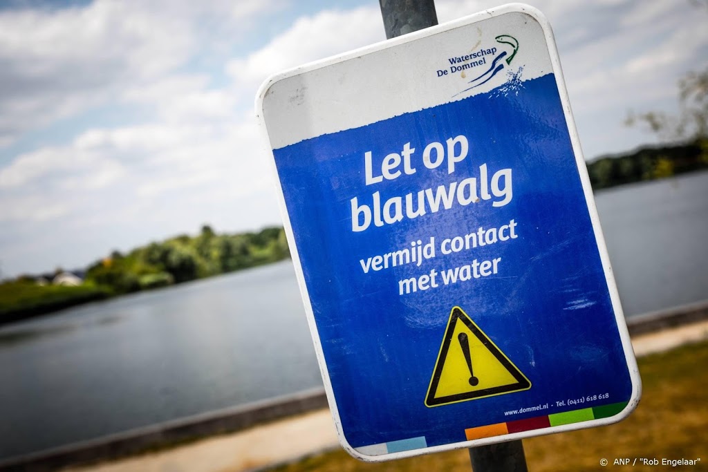 Explosie van blauwalg door regen na hitte en droogte