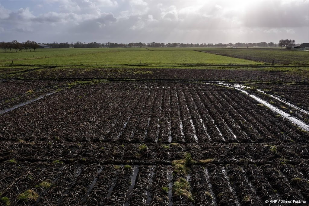 Nat voorjaar leidt volgens ING weer tot lagere voedselproductie
