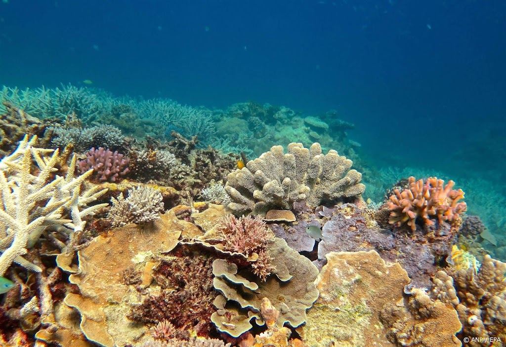 Australische miljoenen voor verbeteren water Great Barrier Reef