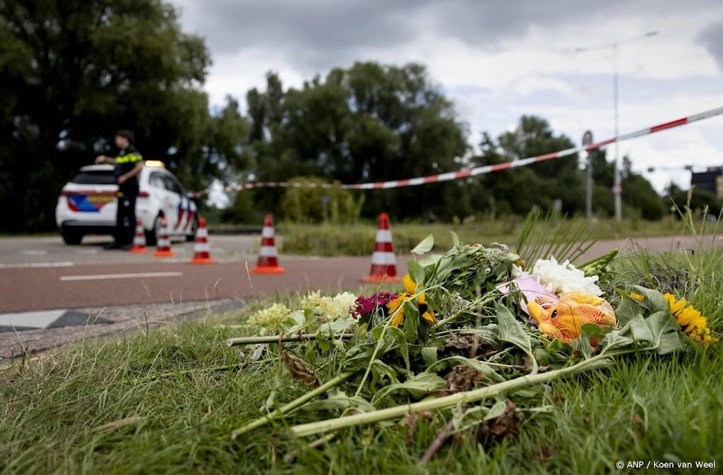 Boodschap 'Laat vrouwen veilig thuiskomen' langs snelwegen