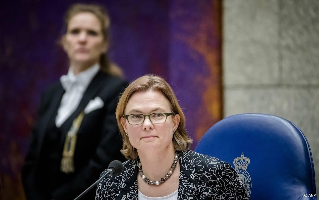 Europarlementariër Maij roept landen op tot actie tegen femicide