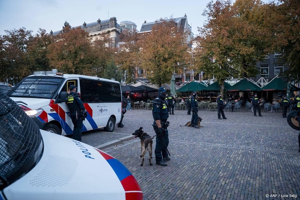 Cel- en taakstraffen voor geweld Malieveld Den Haag