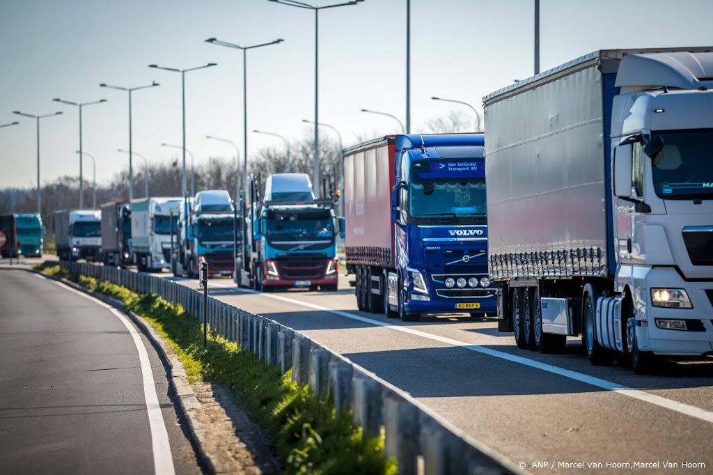 'Helft vrachtwagenchauffeurs rijdt te lang door'