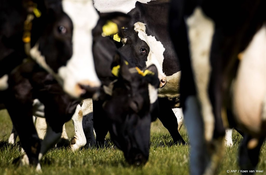 Bijna 1700 boeren hebben zich aangemeld voor stoppersregelingen