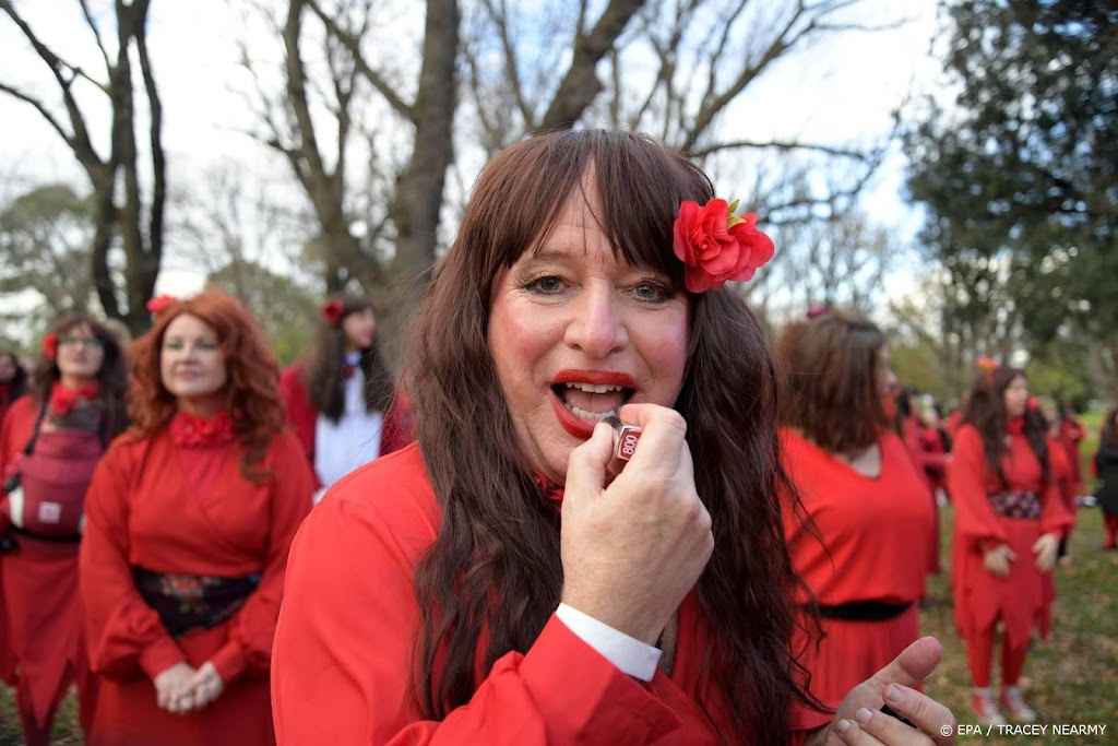 Efteling wil 'grafzerk' van Kate Bush aan museum schenken