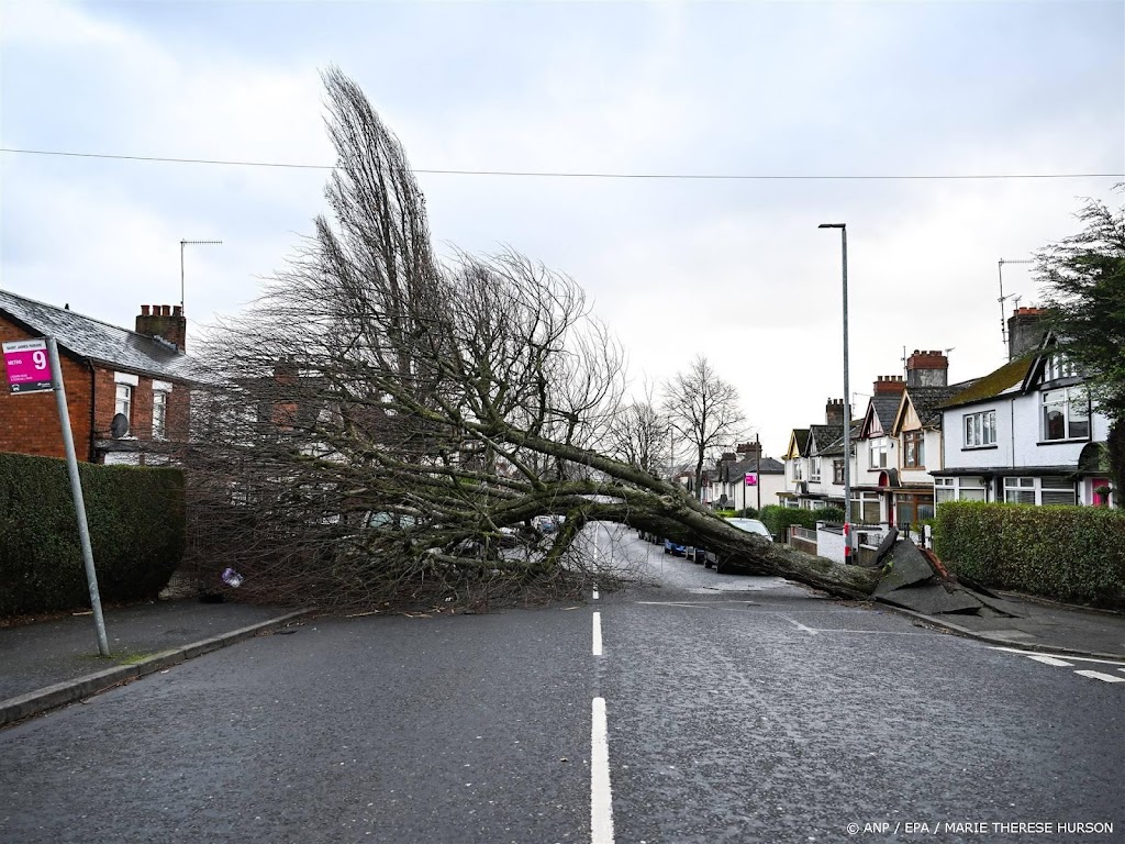 Dode in Ierland door omvallende boom tijdens storm Éowyn
