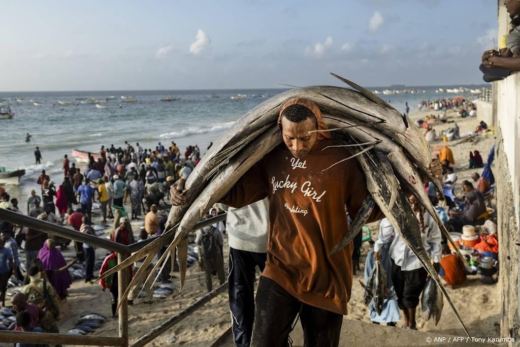 Voedselschaarste neemt schrikbarend toe in verscheurd Somalië