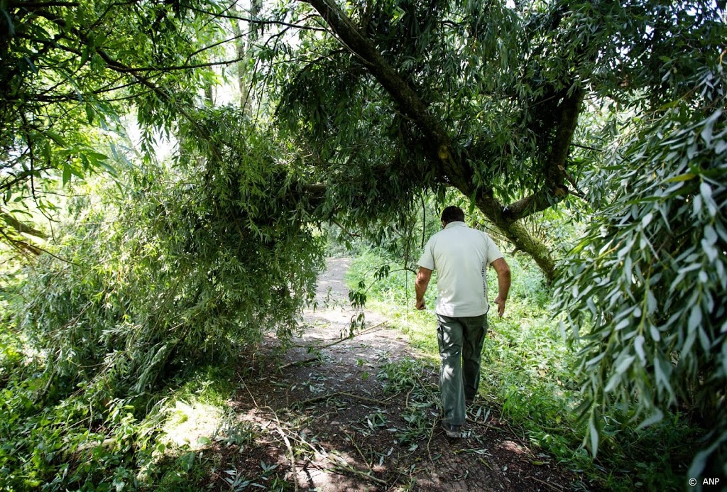 Staatsbosbeheer schrapt alle excursies tot 1 juni