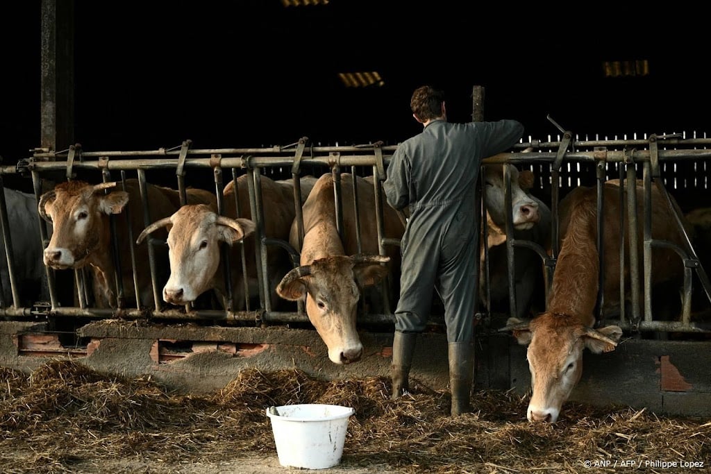Frankrijk schiet boeren te hulp na forse prijsstijgingen