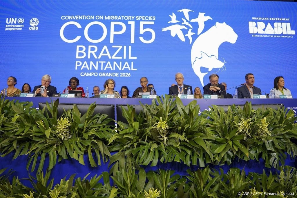 VN-rapport: honderden trekvissoorten moeten worden beschermd