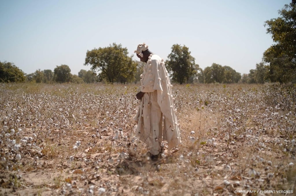 Grondstoffenhandelaar waarschuwt voor mesttekorten West-Afrika