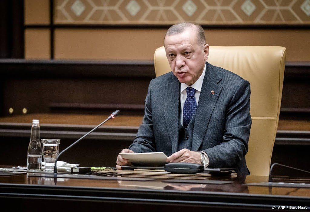 Erdogan tegen Zelenski: bereid om te helpen bij onderhandelingen