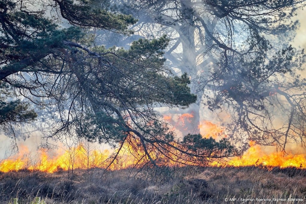 Meer regio's naar hoogste waarschuwingsniveau voor natuurbranden
