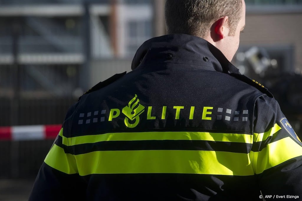 Politie ziet steeds meer zelfgemaakte 3D-wapens