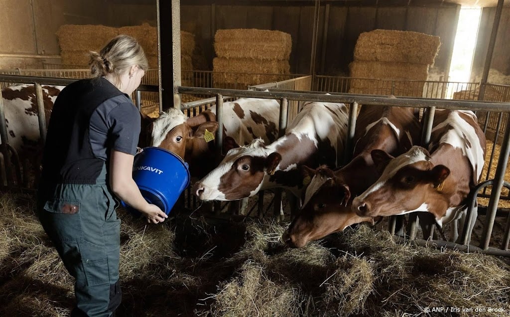 Jonge Brabantse boeren en tuinders zoeken steun bij provincie 