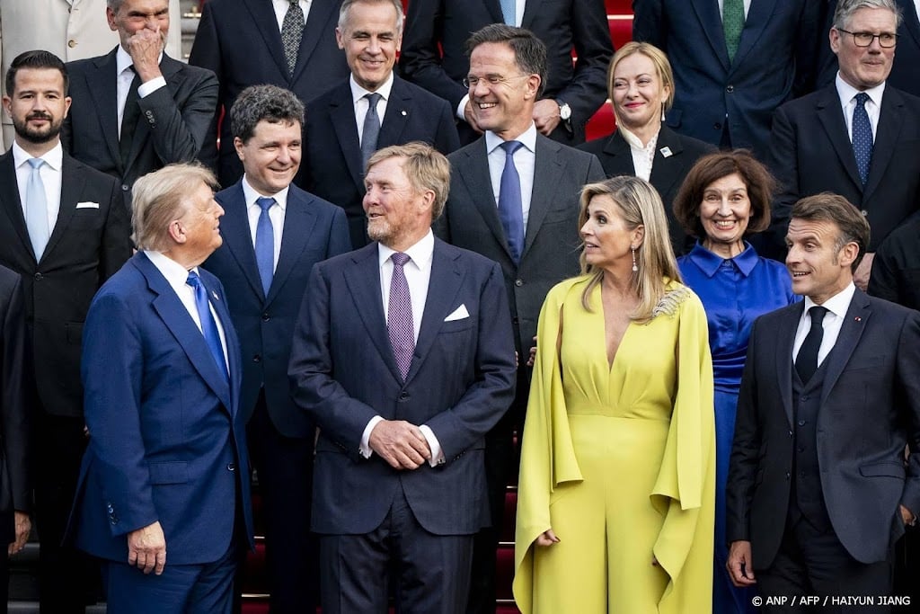 Koning: terecht dat wordt gepleit voor evenwichtige NAVO-bijdrage
