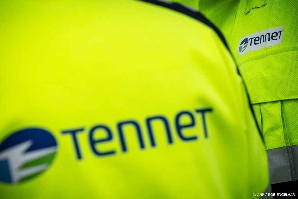 TenneT boekt meer omzet door investeringen in stroomnet
