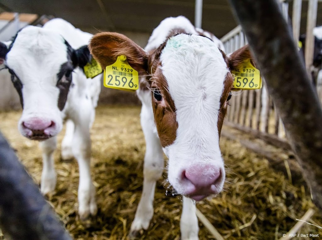 Greenpeace krijgt bijval van boerenorganisaties in stikstofzaak