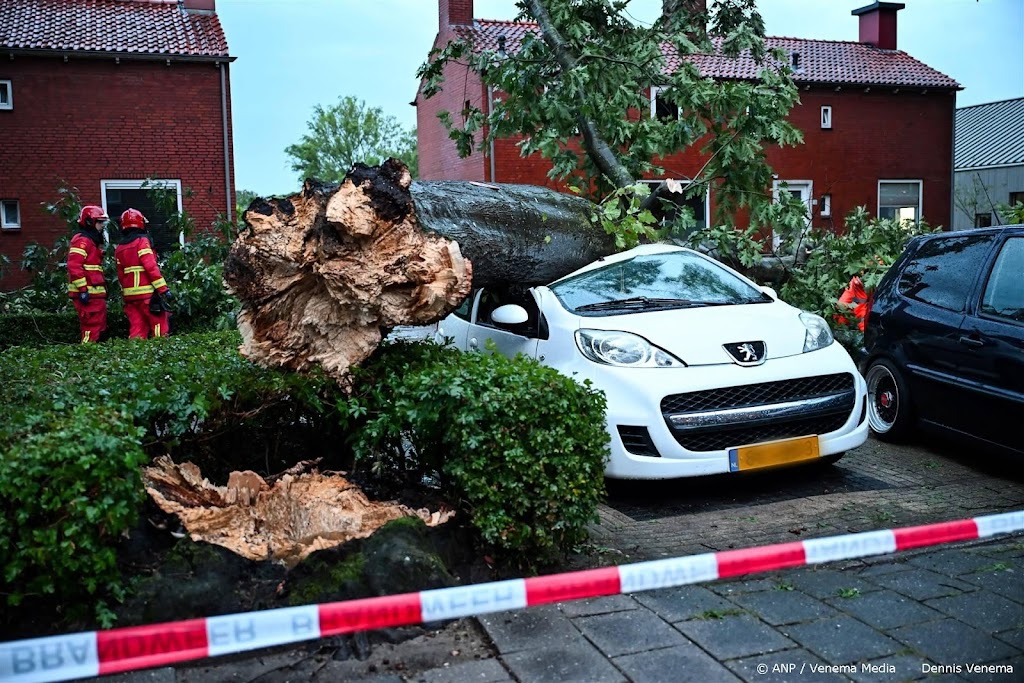 Hinder en schade door omgevallen bomen na onweersbuien
