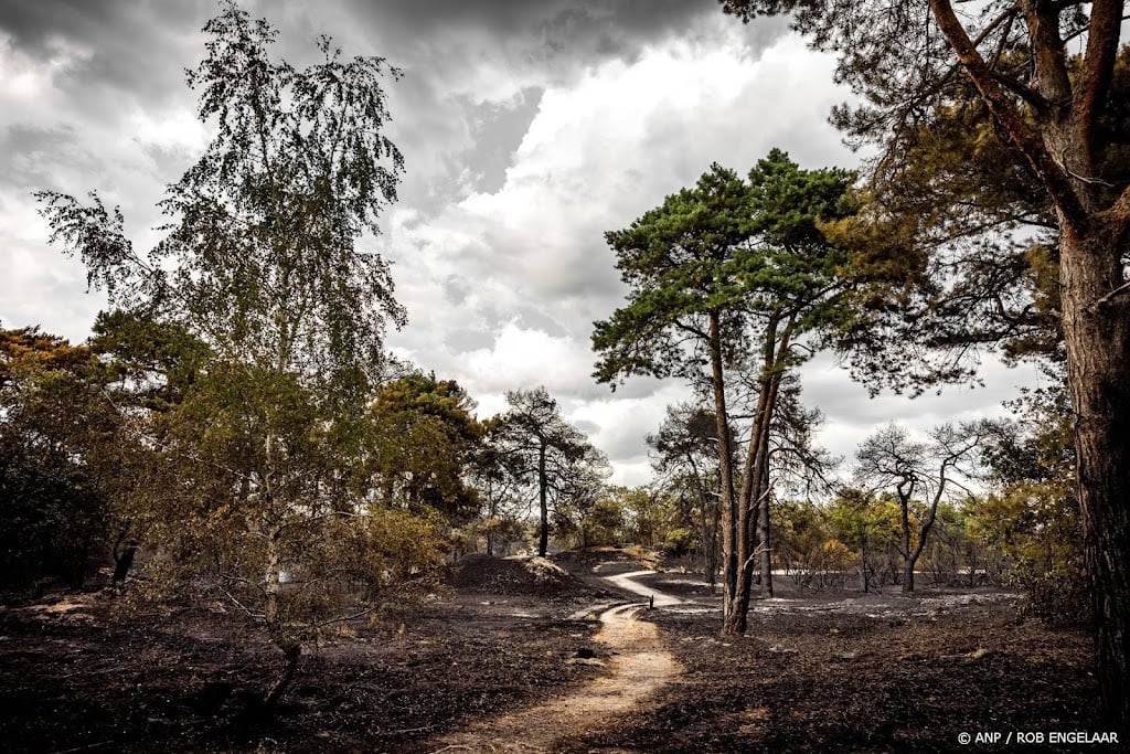 Meer Nederlanders bezorgd over gevolgen extreem weer