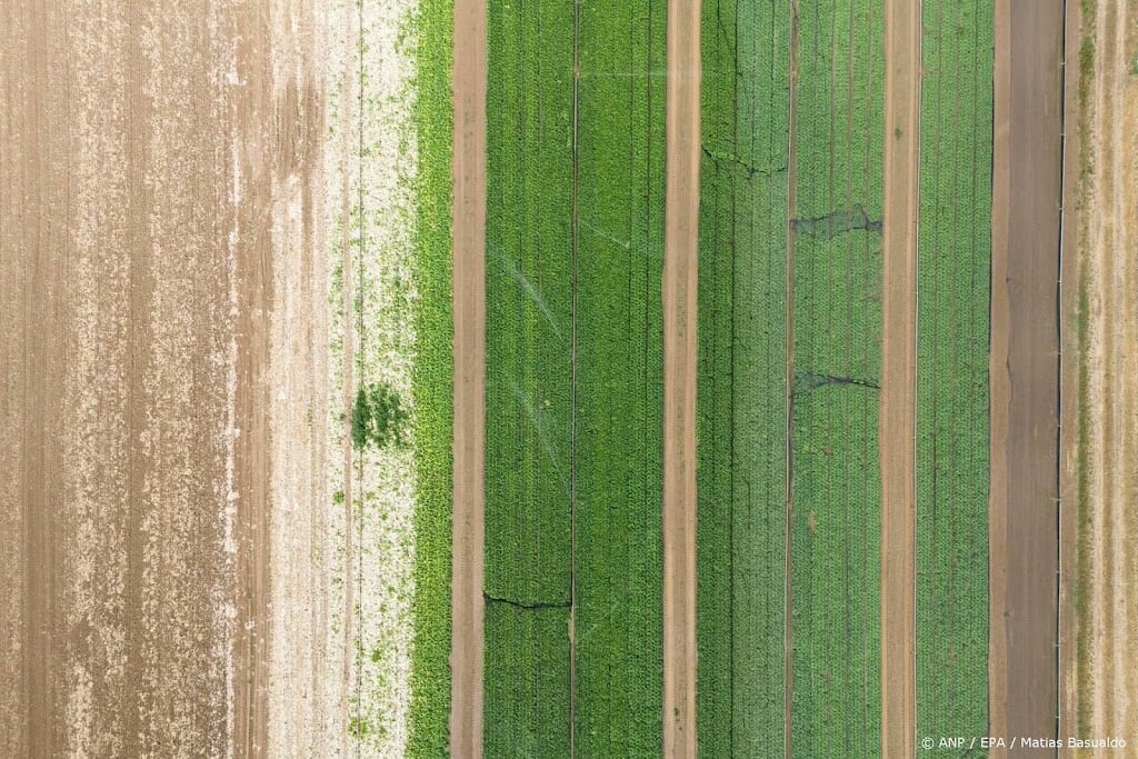 Greenpeace: droogte en hitte kosten Duitse economie 36 miljard 