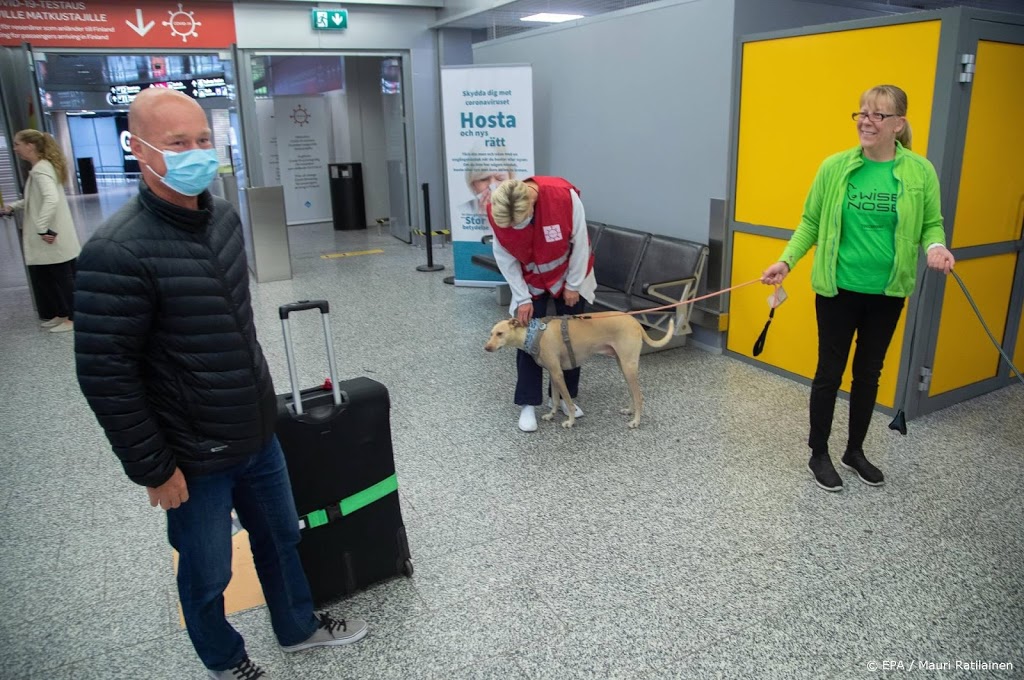 Pandemie in Finland versnelt, luchthaven zet coronahonden in