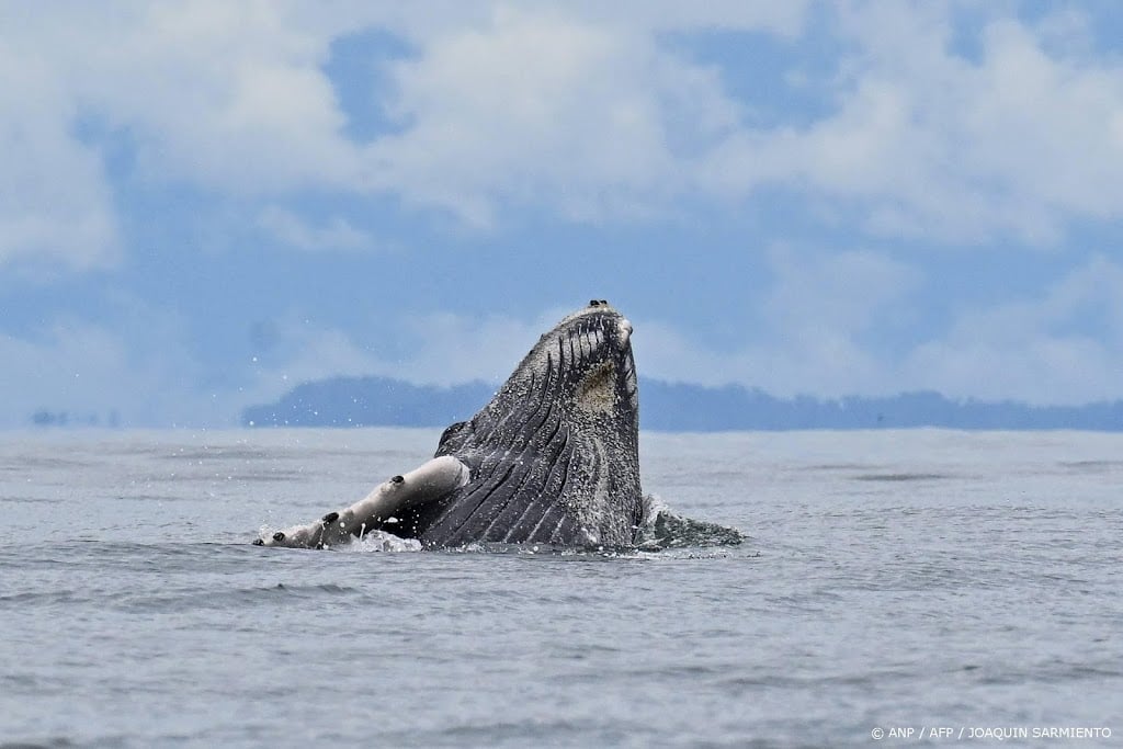 Oceanen verslechteren, steeds meer klimaatgrenzen overschreden