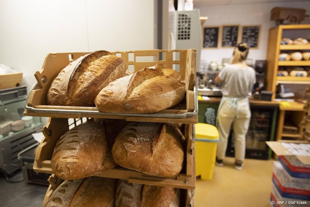 Onderzoek: steeds meer zorgen familiebedrijven over arbeidsmarkt