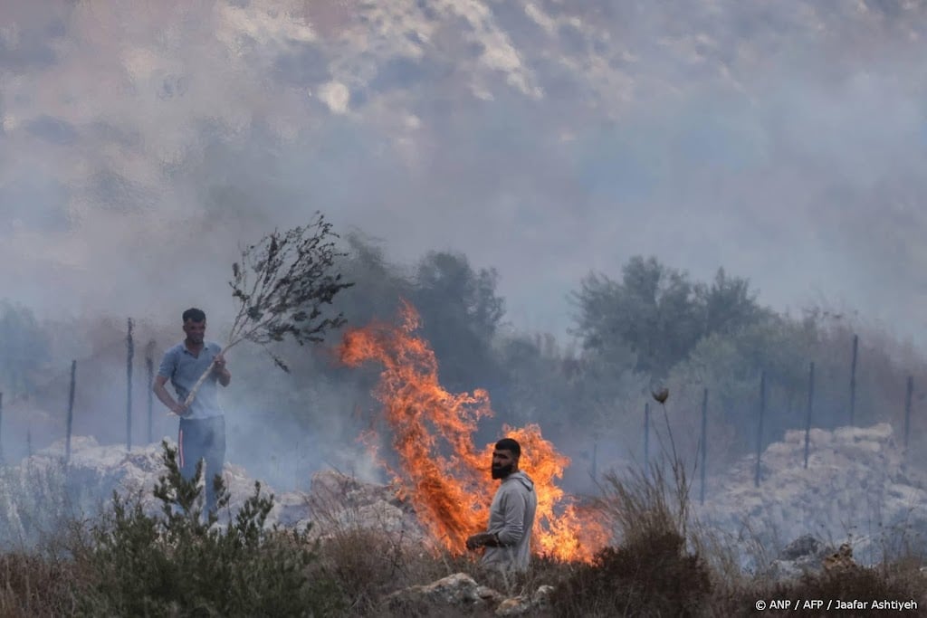 Ngo: al honderden aanvallen op Palestijnse olijvenoogst
