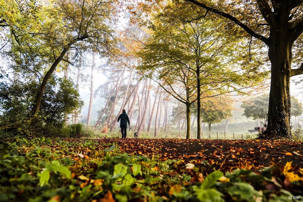 Warmste 24 november in Nederland sinds begin metingen