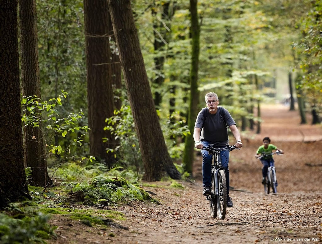Voor het eerst meer dan 19 graden gemeten eind november