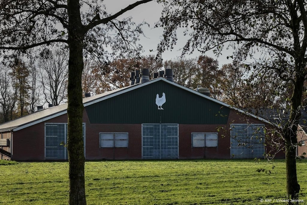 LTO: ruimingen pluimvee door vogelgriep doen zeer