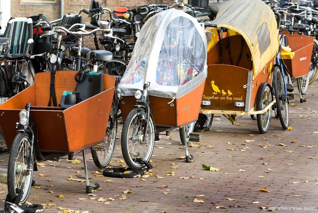 Proef met grotere fietsrekken in Zwolle en Zutphen