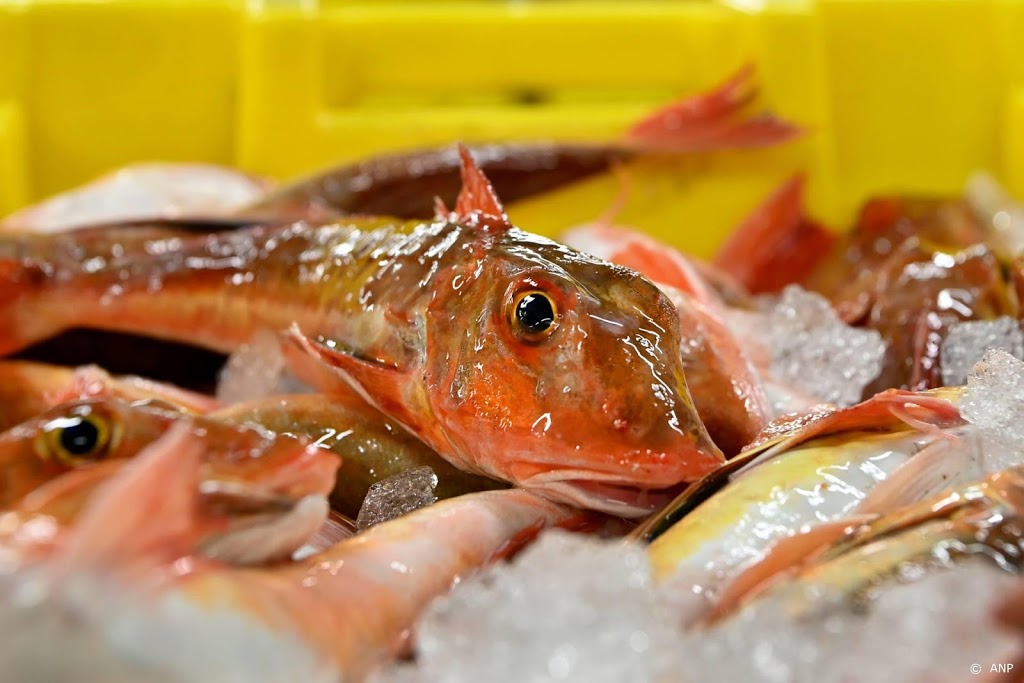 Brexitdeal pakt slecht uit voor Nederlandse visserij