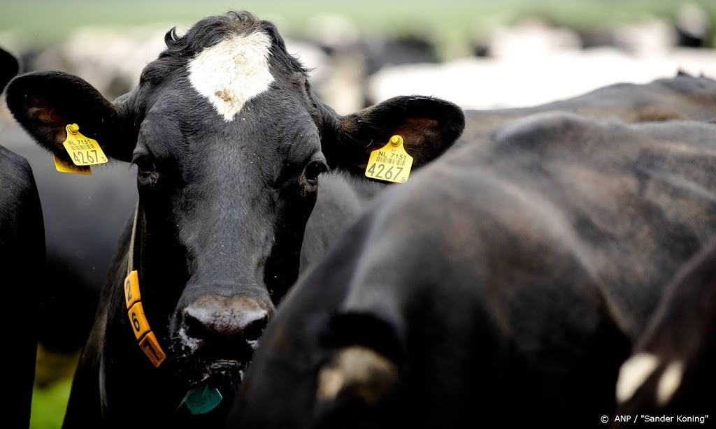 Boeren willen meer geld en steun voor 'groene' landbouw