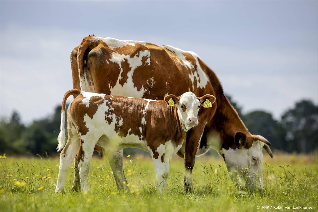 Meer zuivelverwerkers met CO2-doelen, doorberekenen kosten lastig