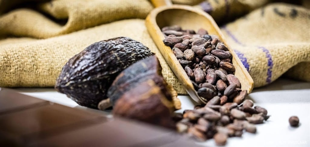Cacaoprijs verder omhoog, cacao nu duurder dan koper