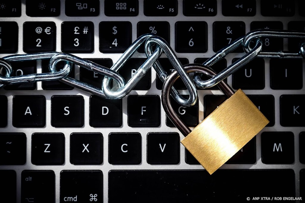Steekproef: bijna een derde websites schendt privacywet