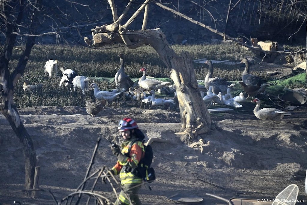 Dode door natuurbrand bij Valencia