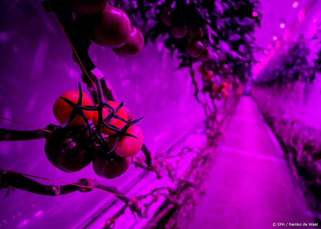 Stadsboer PlantLab breidt flink uit in Amsterdam