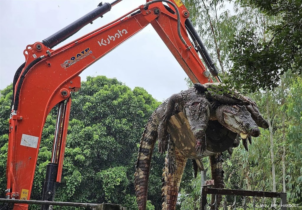 Thaise boerderij doodt 125 krokodillen vanwege hevige regen