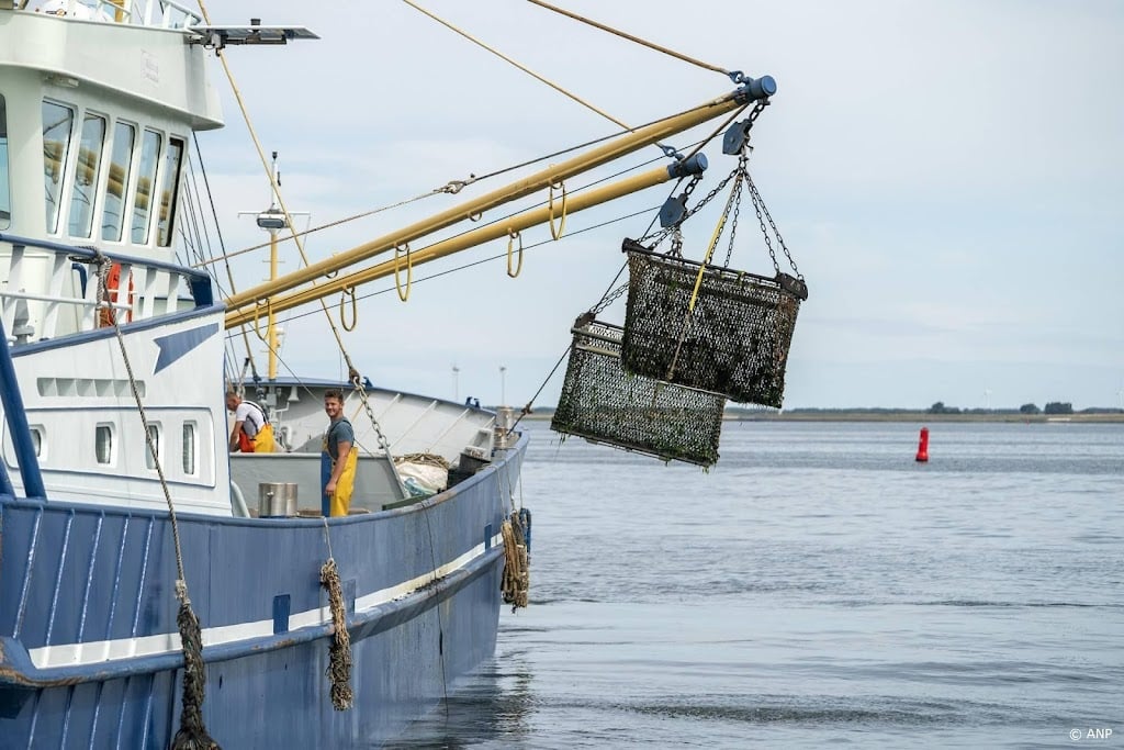 Zeeuwse havens geraakt door stakingen in België